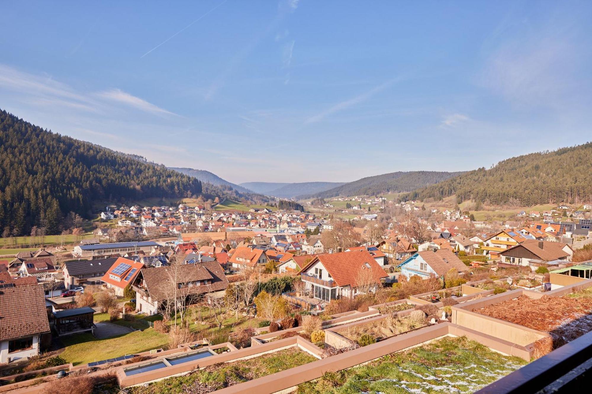 Baerbel, Im Schwarzwald-Stil Apartment Baiersbronn Bagian luar foto